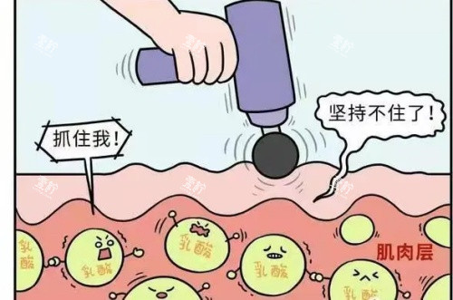 筋膜枪作用示意图