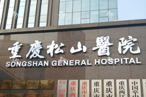 重庆松山整形logo