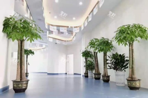 岳阳平江致远口腔内部环境.jpg 岳阳平江致远口腔内部环境.jpg