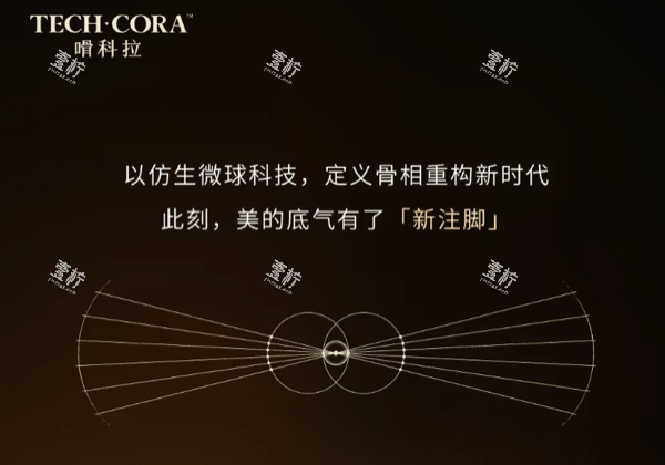 嗗科拉优势.png 嗗科拉优势.png