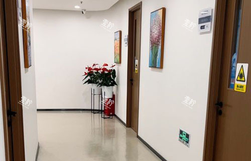 北京丰联丽格医疗美容走廊环境图.jpg 北京丰联丽格医疗美容走廊环境图.jpg