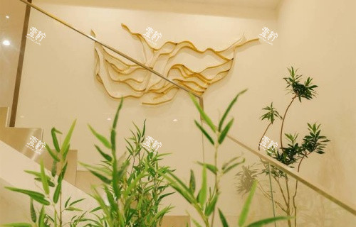 深圳伽美贝拉整形楼梯处示意图.jpg 深圳伽美贝拉整形楼梯处示意图.jpg