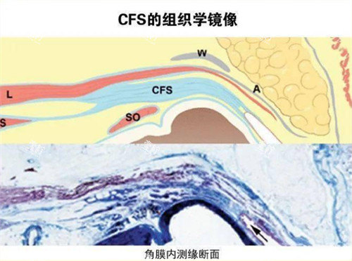 cfs原理图.jpg cfs原理图.jpg
