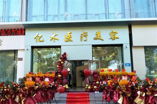 哈尔滨亿术医疗美容大门.jpg