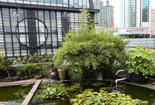 上海华美口腔外景环境.jpg 上海华美口腔外景环境.jpg