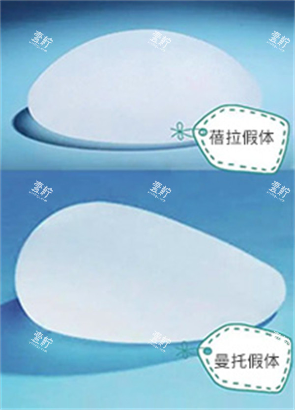 ‌蓓拉假体和曼托假体.jpg
