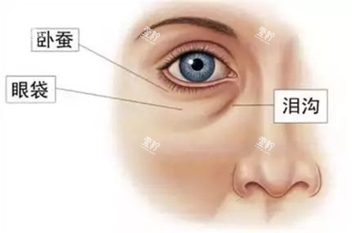 眼部结构示意图.jpg 眼部结构示意图.jpg