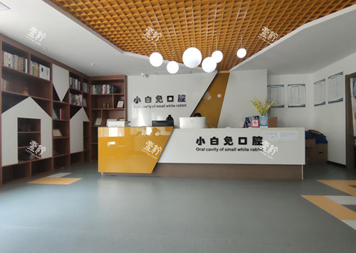 重庆小白兔口腔环境图.jpg 重庆小白兔口腔环境图.jpg