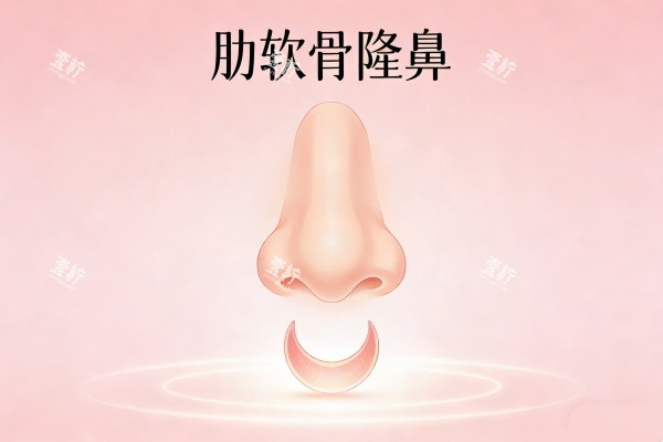 肋软骨隆鼻卡通图一览.jpg 肋软骨隆鼻卡通图一览.jpg