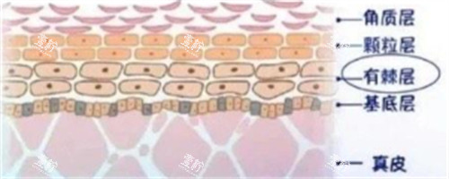 皮肤管理.jpg 皮肤管理.jpg