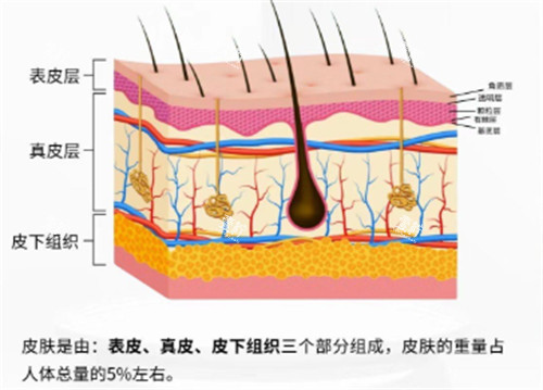 皮肤管理知识.jpg 皮肤管理知识.jpg