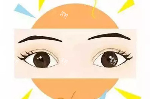 成功双眼皮示意图.jpg