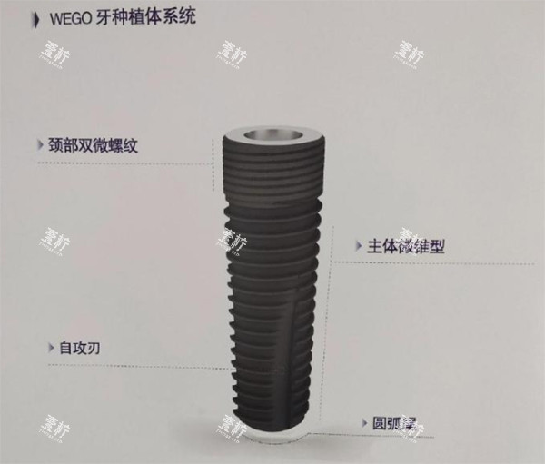 威高wego种植牙颈部双位螺纹细节照片.jpg