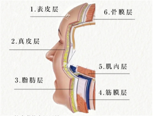 分层抗衰.jpg