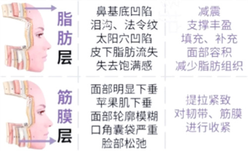 筋膜层抗衰重点.jpg