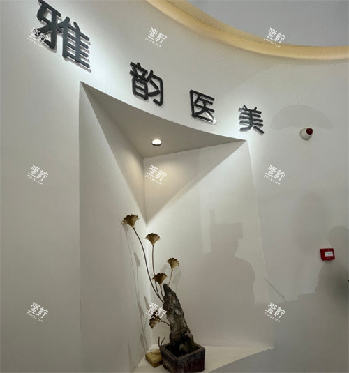 北京雅韵医美整形logo图墙.jpg
