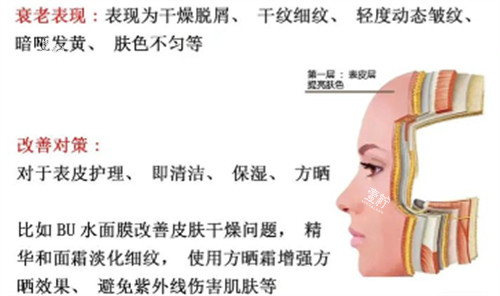 表层抗衰.jpg 表层抗衰.jpg