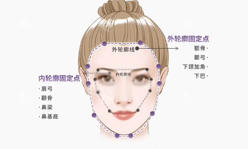面部轮廓说明.jpg 面部轮廓说明.jpg
