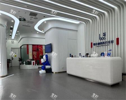 北京联合丽格院内环境图.jpg 北京联合丽格院内环境图.jpg