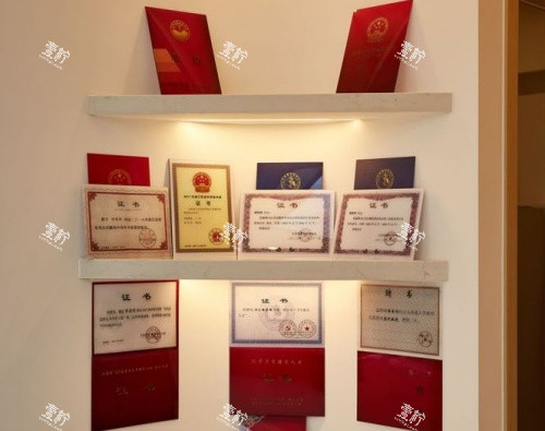 无锡梵伊嘉整形荣誉证书示意图.jpg