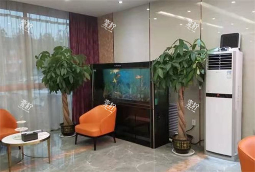 聊城多美医疗美容等候区环境图.jpg