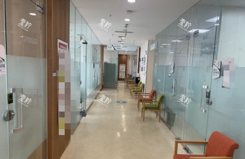 青岛春慈新都口腔走廊示意图.jpg