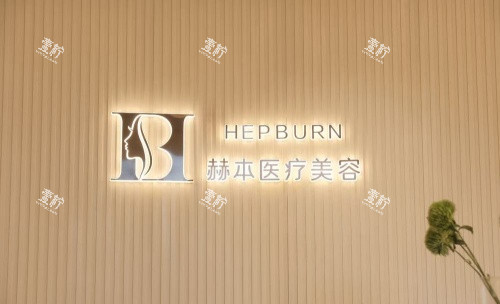 西安赫本整形logo示意图.jpg