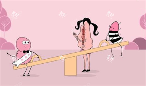 私密整形可以治疗的部位图解.jpg 私密整形可以治疗的部位图解.jpg