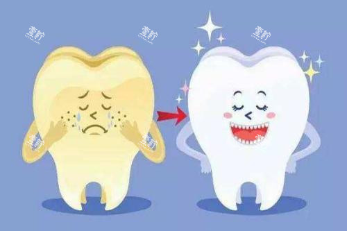 冷光美白前后对比动画图.jpg