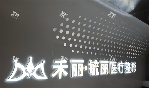 兰州毓丽医疗整形logo图.png