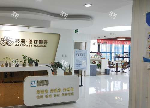 郑州市枝蔓医疗美容诊所价目表：光纤V脸2万-4万/祛斑1500-4000元/单次，这价靠谱吗