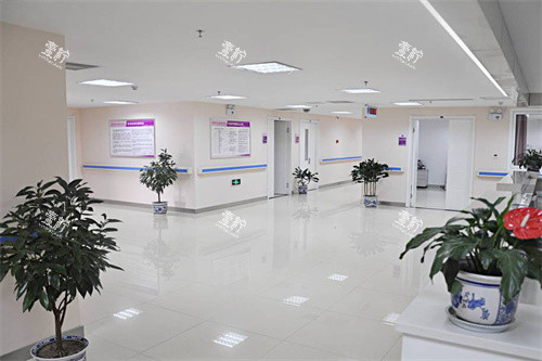 沈阳京科医院内部环境.jpg