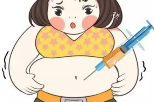 肚子吸脂卡通图.png