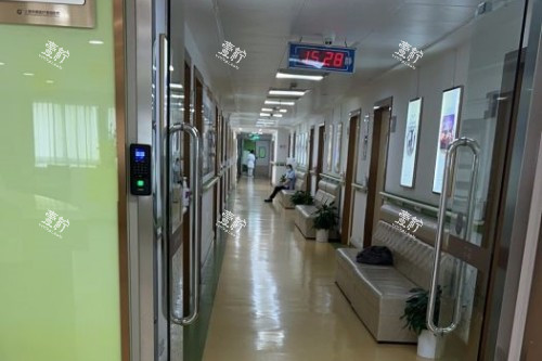 上海华美整形走廊.jpg