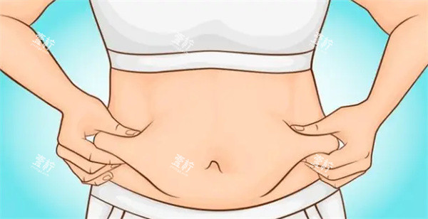 腹部.jpg 腹部.jpg