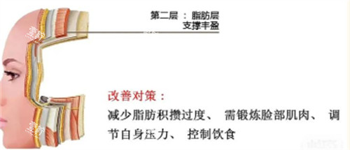 中层抗衰.jpg