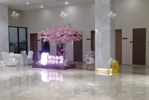 苏州薇琳医疗美容大厅环境图.jpg